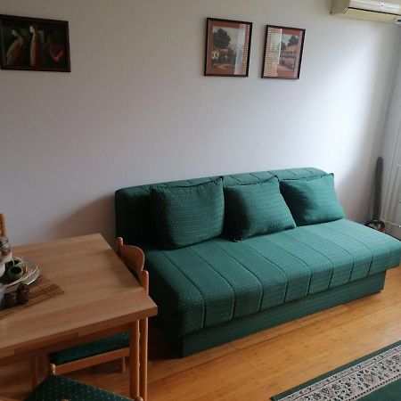 Appartamento Bulevar Stan Na Dan Novi Sad Esterno foto