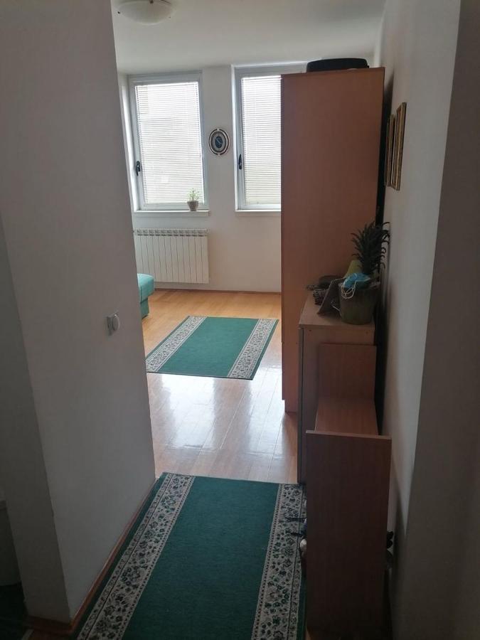 Appartamento Bulevar Stan Na Dan Novi Sad Esterno foto